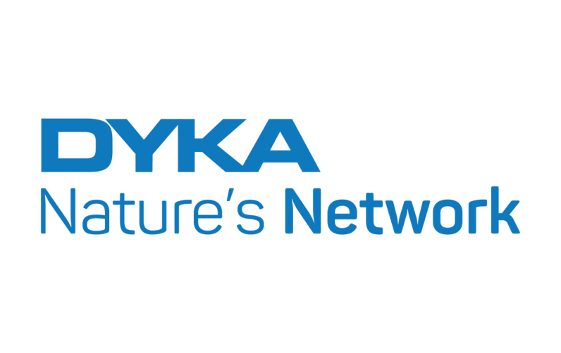 Dyka